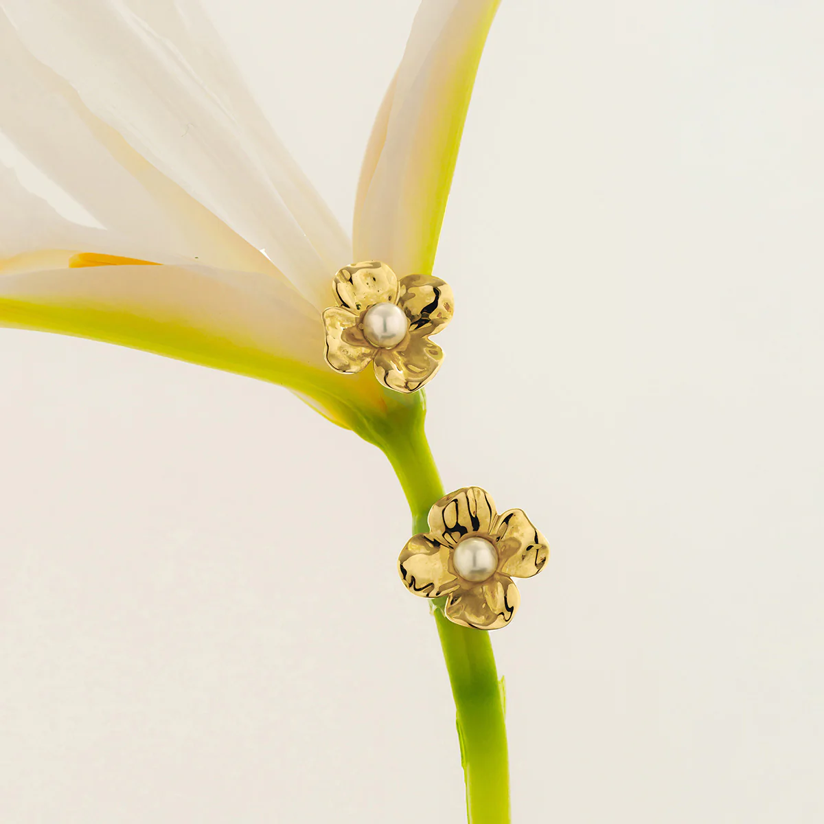 Freshwater Pearl 10K Gold Wild Bloom Stud Earrings - Image 3