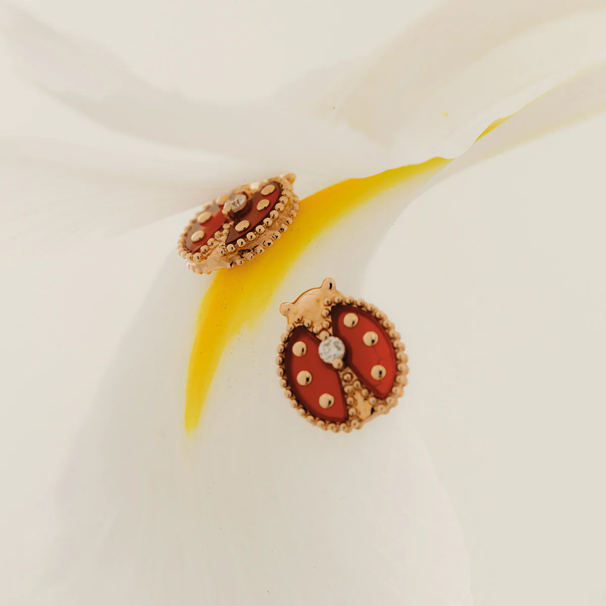 Red Agate 10K 14K Rose Gold Lab-Grown Diamond Insect Stud Earrings - Image 3